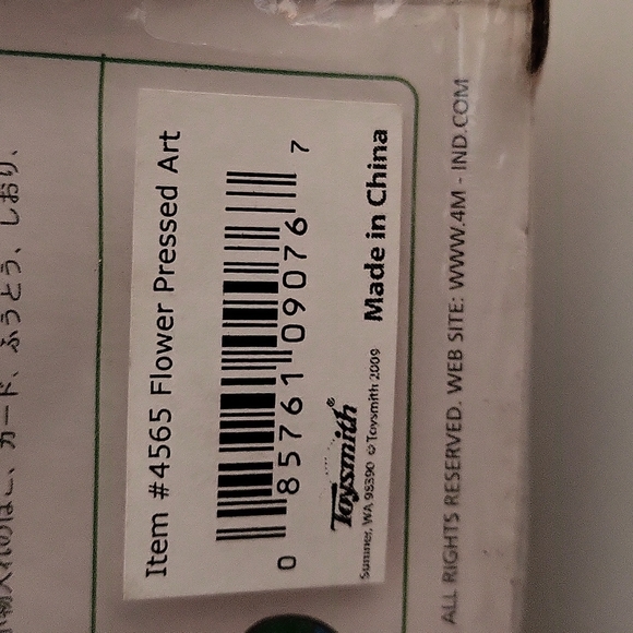 Green Creativity Pressed Flower Art - Picture 5 of 7